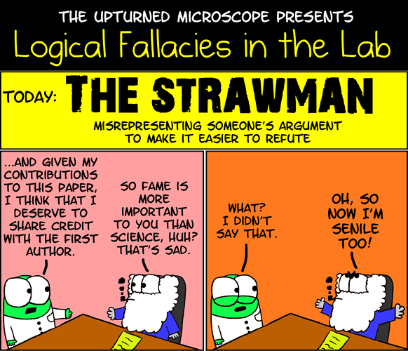 strawman-explained