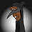 Donol