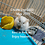 Shaunak_11